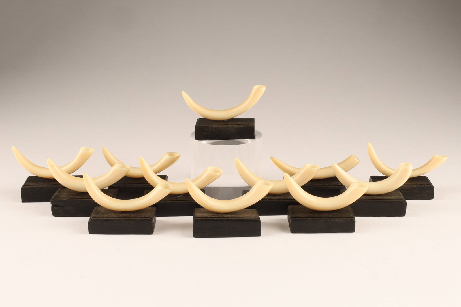 Set of 12 Art Deco Tusk Form Place Card Holders: Set of 12 Art Deco formal table setting place card holders featuring hand-carved tusks. 1.5 inches H x 2.5 W.