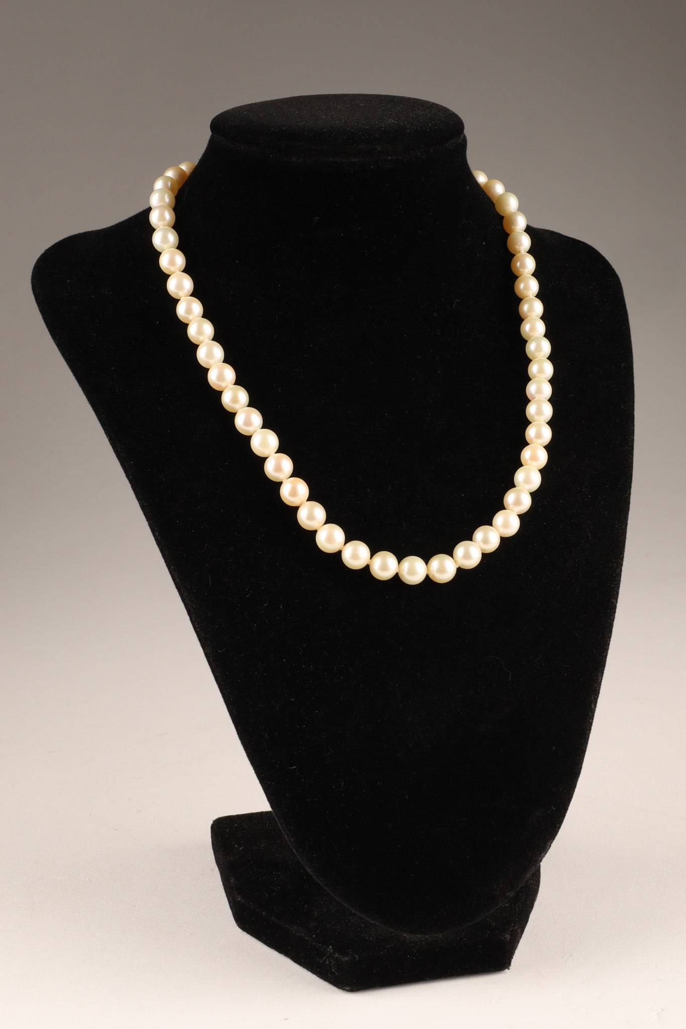 Akoya Cultured Pearl Strand with 14K Yellow Gold Clasp: A cultured pearl strand composed of 52 round pearls of approximately 7mm each, with a 14kt yellow gold clasp. Total length 16.5 inches.