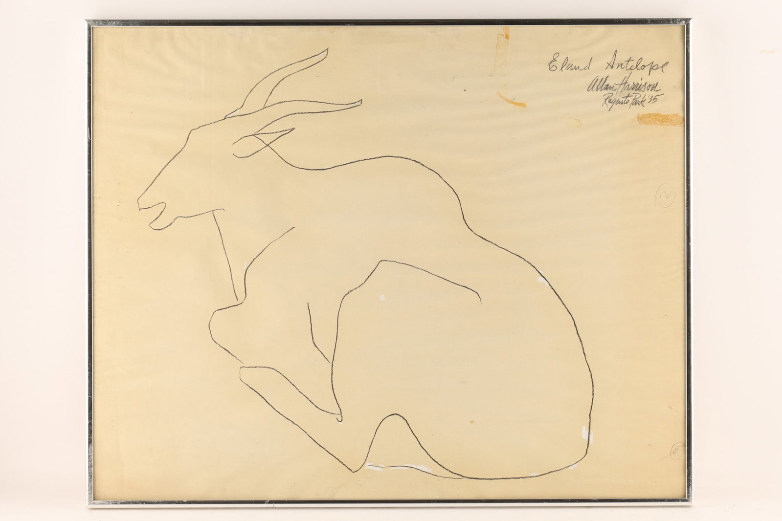 Allan Harrison Eland Antelope Regents Park London Drawing 1935 (1 of 10)