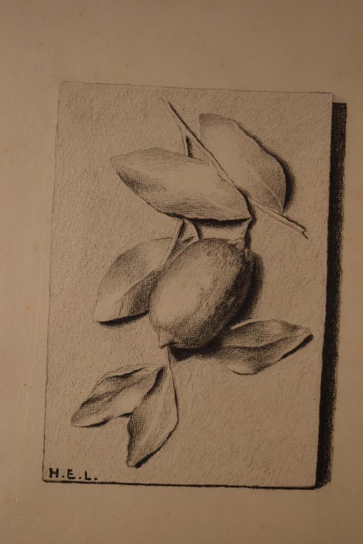 Trompe l'oeil (American 20th Century): 'Trompe l'oeil study of a Lemon' Monogrammed "H.E.L." 16 1/2'' x 12'' Artist unknown/unattributed (appears to be American)