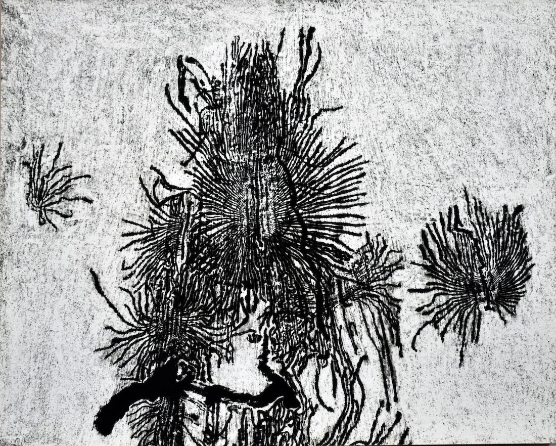 Photograms Experimental Photography (1969) (1 of 3)