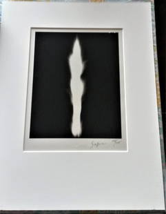 Hiroshi Sugimoto (Japanese b. 1948): "In Praise of Shadows". Lithograph. Signed. 2003. From the edition of 225. 18 1/8 x 11 in.