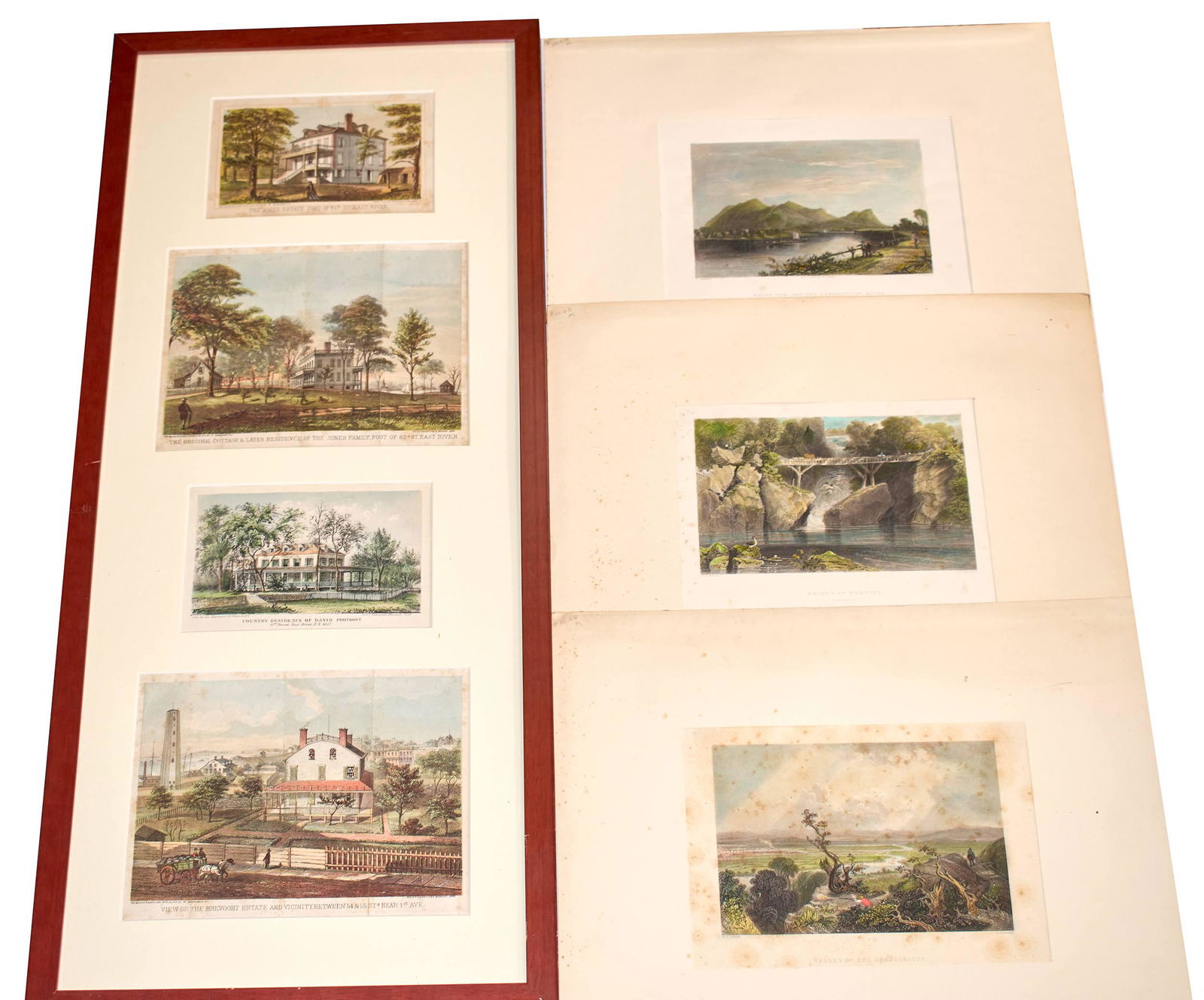Hand-colored Prints (19th Century) (1 of 1)