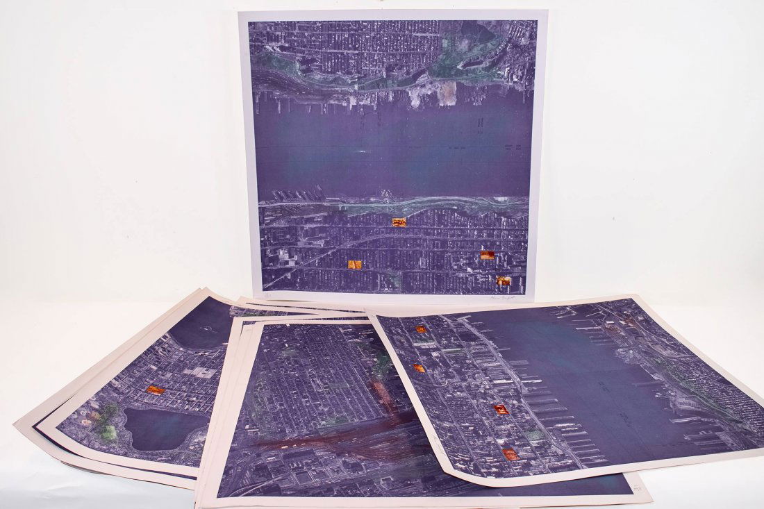 Alan Sonfist (American, born 1946) (1 of 1)