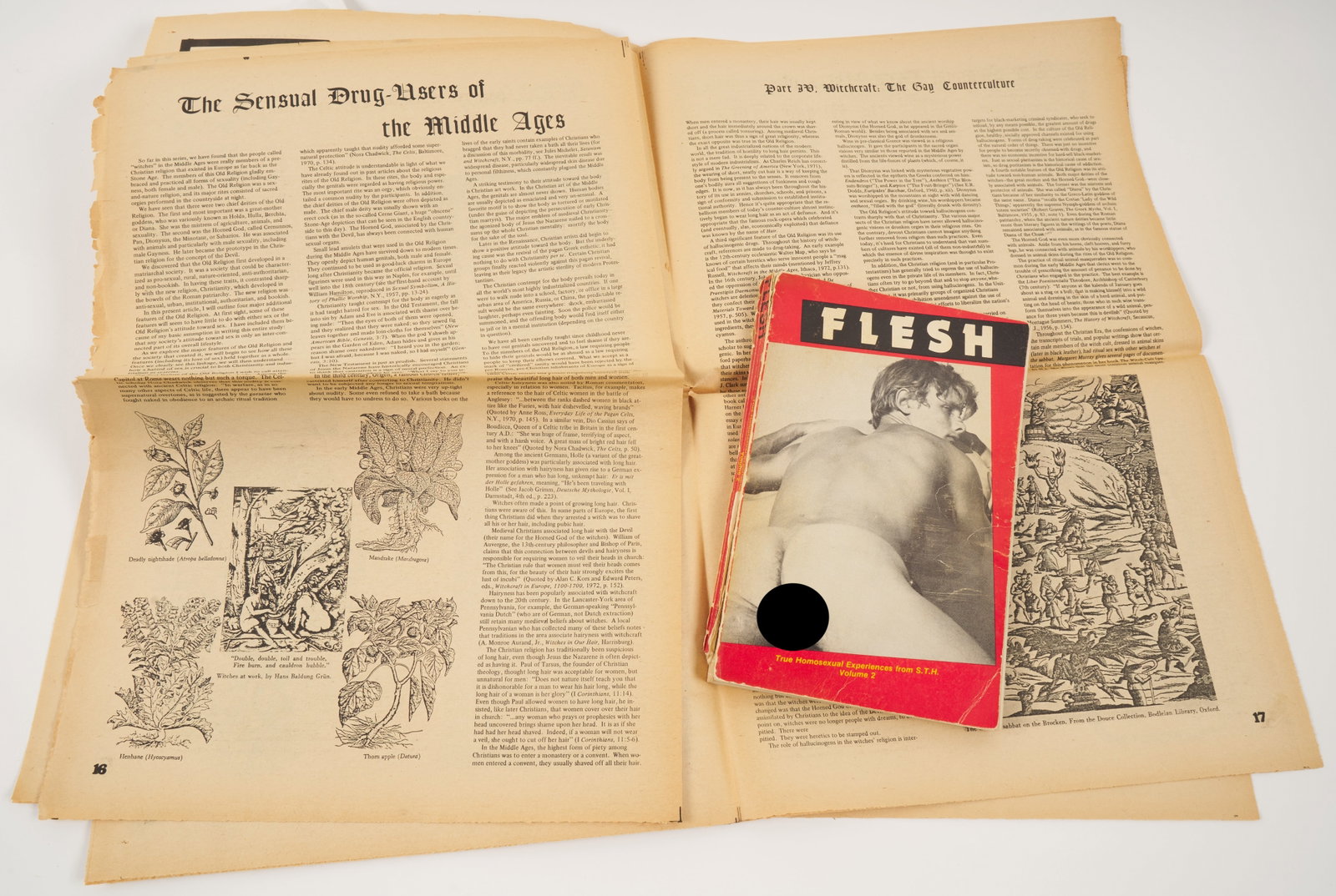 Flesh from STH, Spring 1975 Edition of FagRag: Collection of gay ephemera and 10 poetry titles c. 1960 along with 'Terry the Lesbian' Gay zine news clipping. 6 1/2 x 2 3/4"; 11 1/2 x 8 1/2" (framed). Provenance: Peter Gillis, a Boston teacher, inn