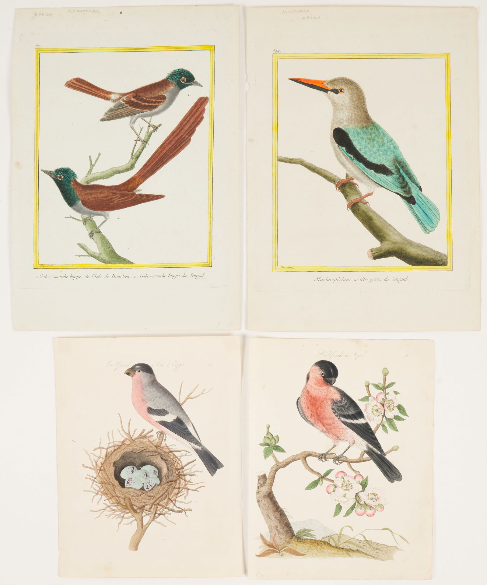 François Nicholas Martinet (French, 1731 - 1800); James Bolton (English, 1735 - 1799) (1 of 2)