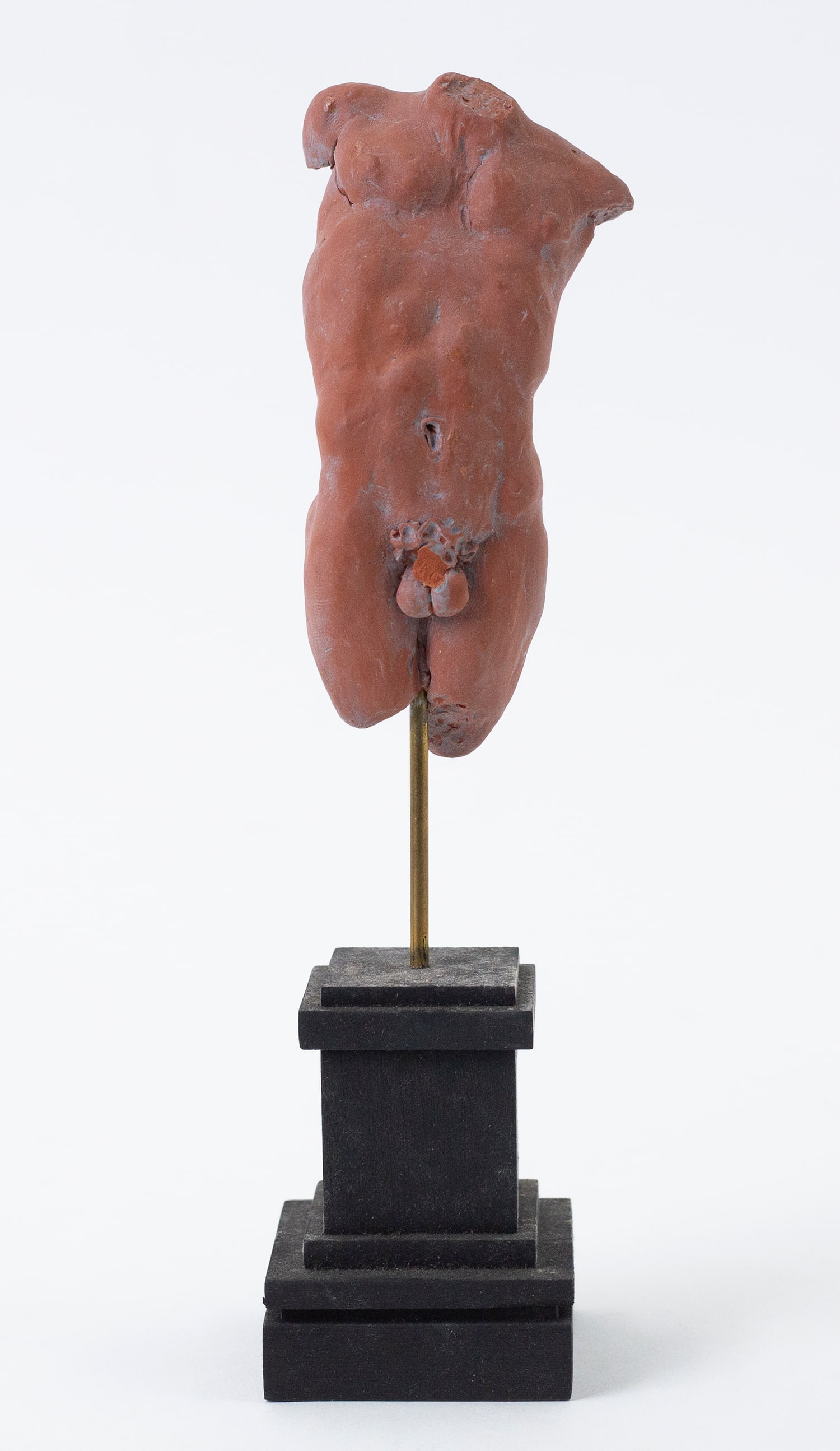 Campbell G. Paxton (American, b. 1948): 'Brick Swimmer's Torso.' Polymer clay mounted on wooden base. Signed and titled on bottom. 9 x 2 1/2 x 2 1/2" (sight).