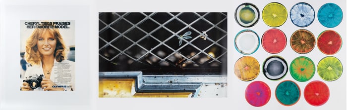 Artists Space Annual Edition Portfolio