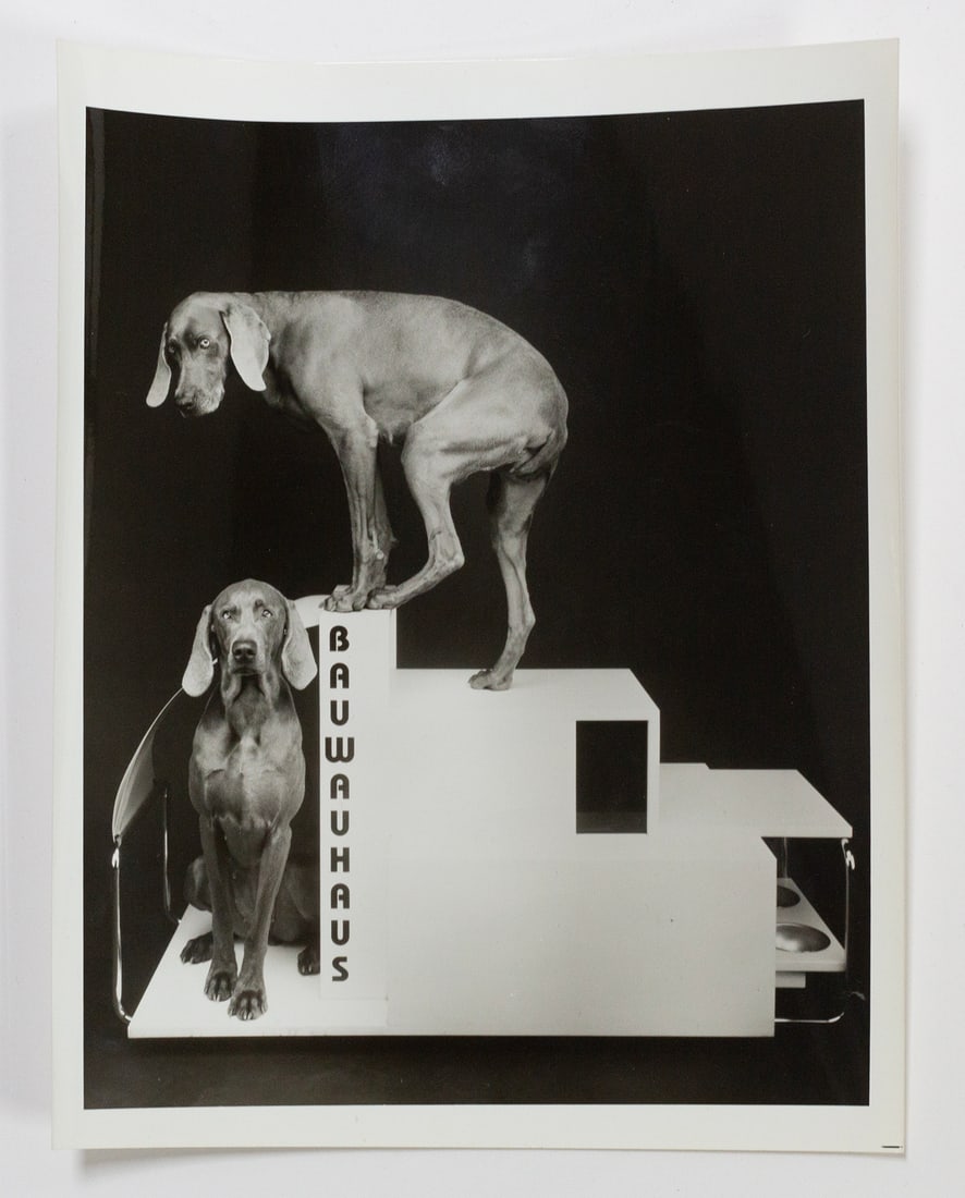 William Wegman (American, b. 1943) (1 of 2)