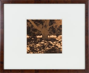 Aaron Rose (American, 1938 - 2021)