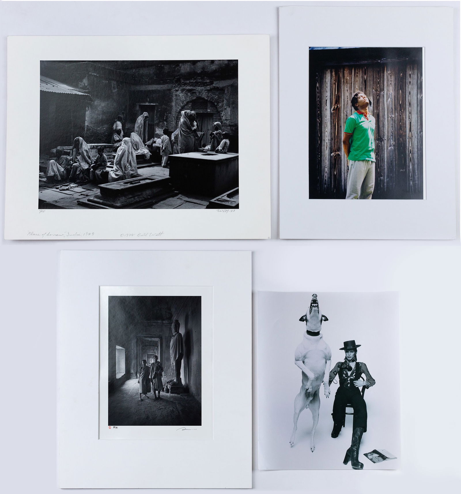 Contemporary Photography Collection (1 of 5)