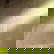 item-210005502=3