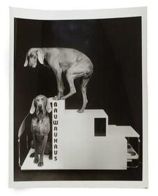 William Wegman (American, b. 1943)