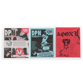 20th Century Queer Zine Collection