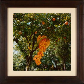 Suzanne Camp Crosby (American, 1948 - 2020)