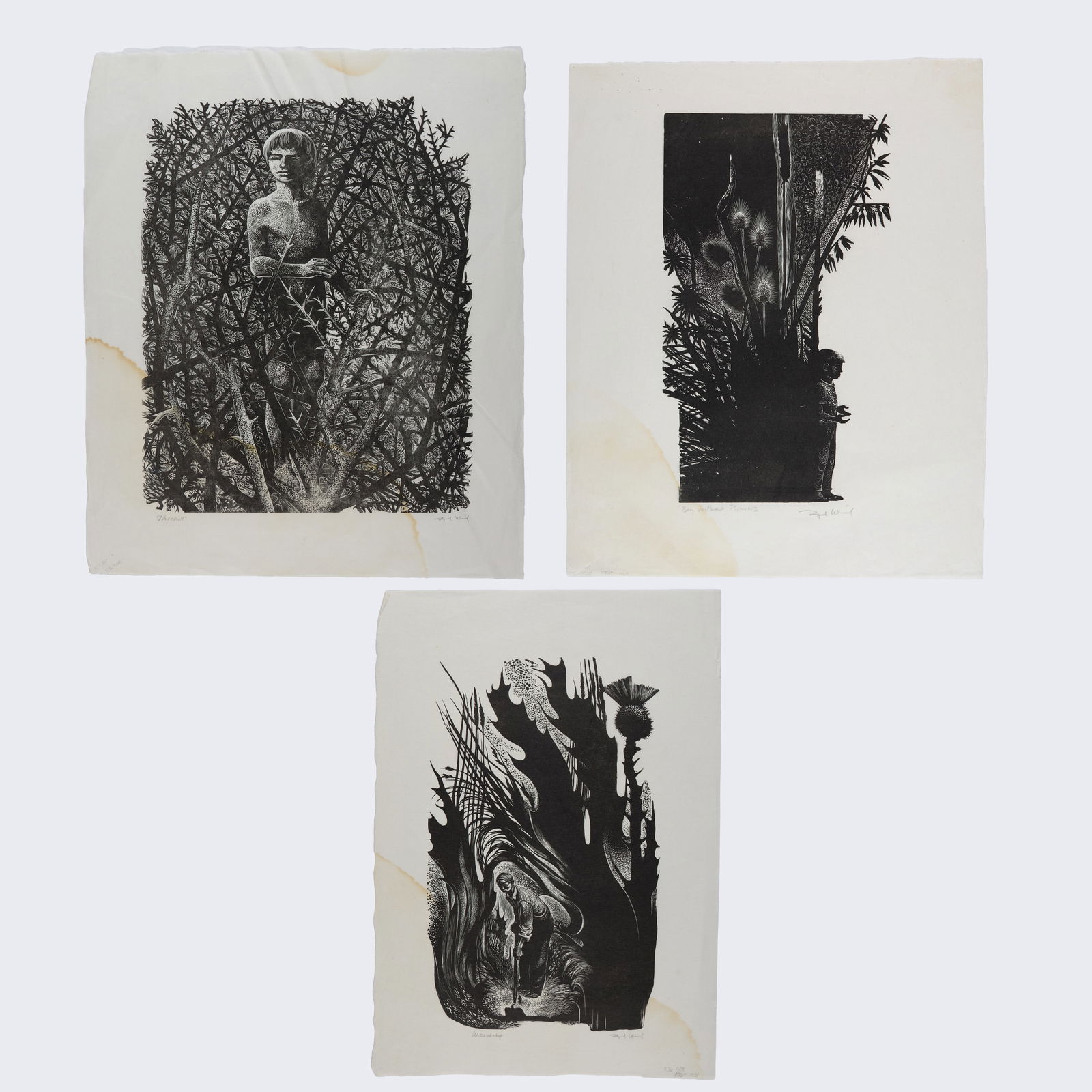 Lynd Ward (American, 1905-1985): Collection of three (3) woodblock prints by the artist Lynd Ward. Made on bleached white washi kozo (Japanese mulberry paper). All signed and titled along the bottom. Includes: "Thicket." 19 x 16"; "B
