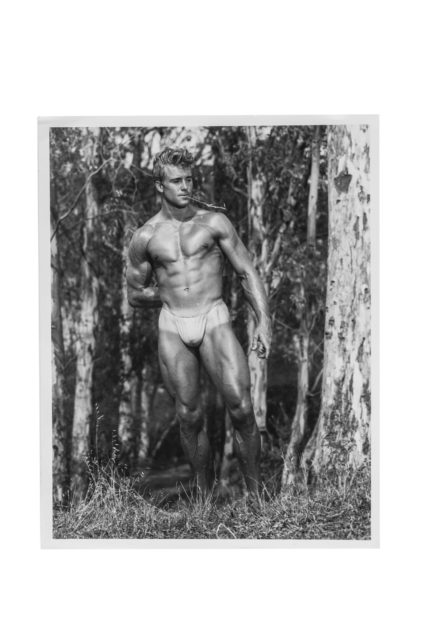 Robert Mizer (Athletic Model Guild) (American, 1922-1992) - 6