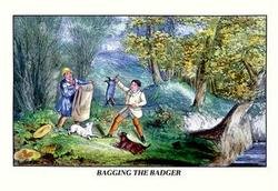 Bagging the Badger 24x36 Giclee: Series: DogsArtist: Henry Thomas AlkenPeriod: Source country: BritainSource Year: Henry Thomas Alken (1785 – 1851) was a British sporting artist who focused attention on hunting, coaching, racing an