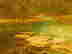 item-51027565=5