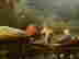 item-51027594=5