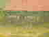 item-51027726=4