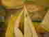 item-51027726=5