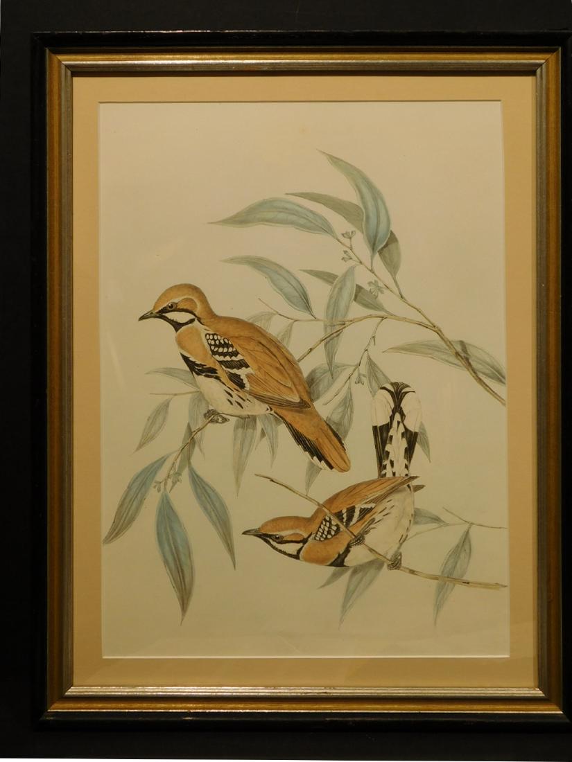 Two Birds, hand-colored lithograph (1 of 5)