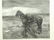 Gilbert Gaul & Frank French: In The Enemy's Country,