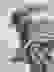 item-63263219=5