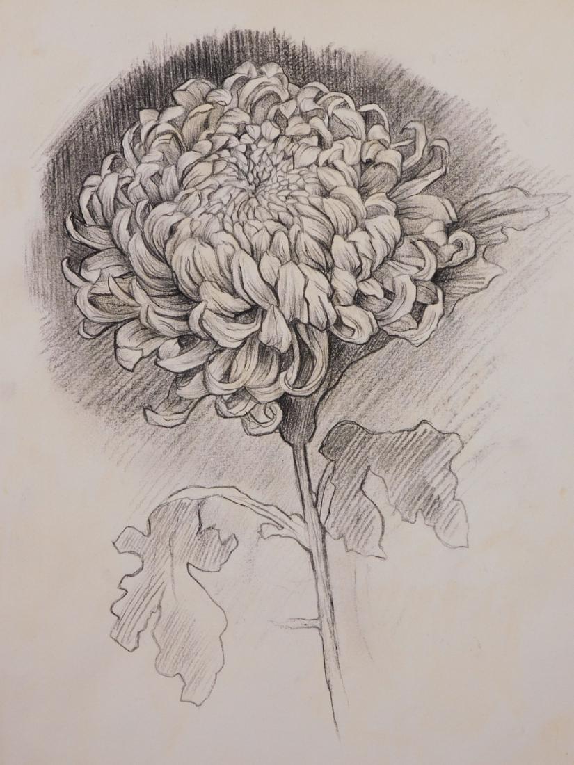 Piet Mondrian: Chrysanthemum: Piet Mondrian (Dutch, 1872-1944) Attributed: Flower, pencil on paper, signed and dated bottom. Piet Mondrian was a Dutch artist known for his simple, geometric works. As a founding member of the De St