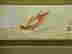 item-72262022=3