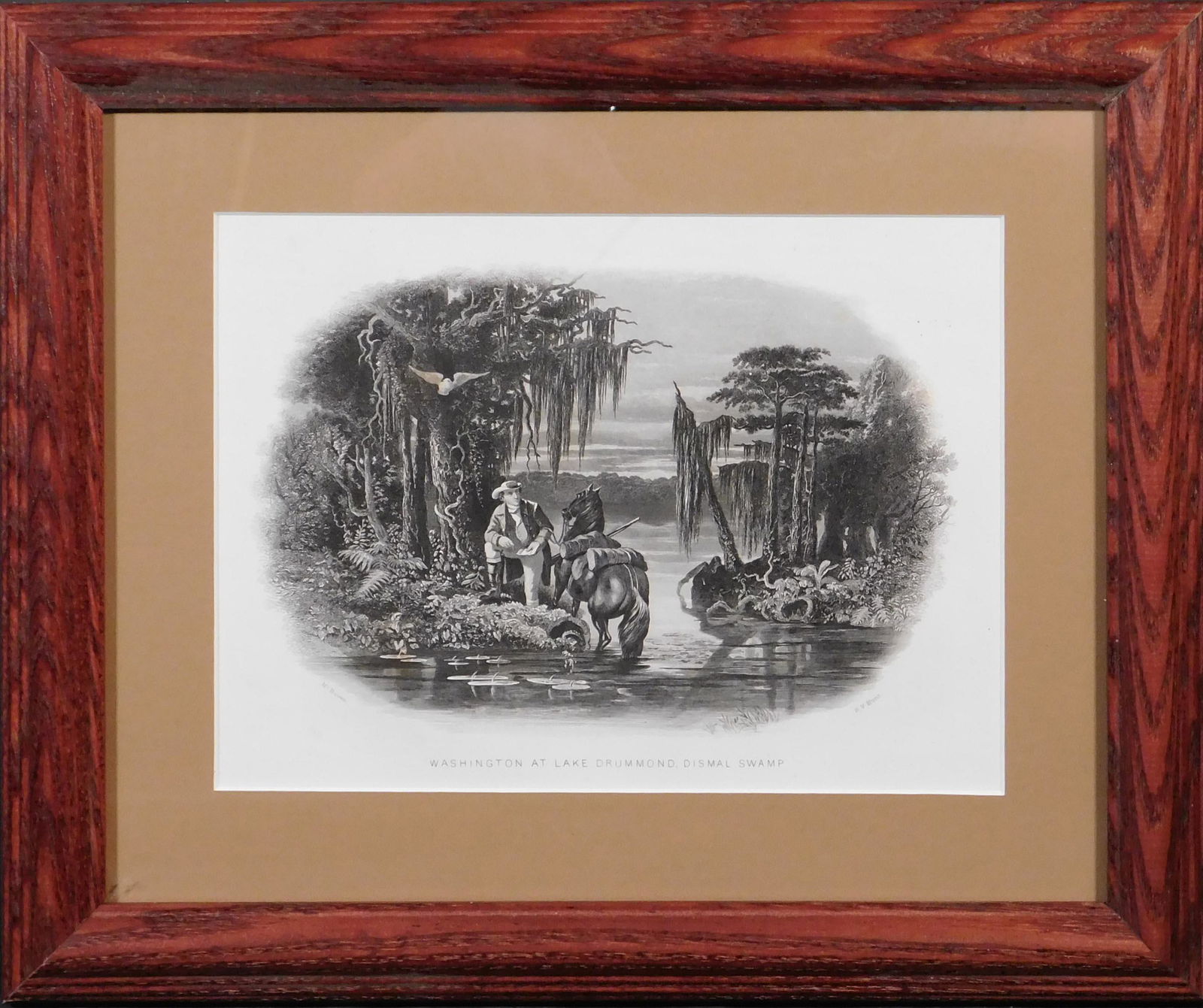 Washington at Lake Drummond, Dismal Swamp (1 of 2)