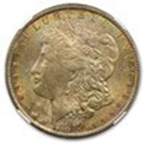 1878-1904 Morgan Dollars MS-64 NGC (Toned Obv/Rev or Bo: 1878-1904 Morgan Dollars MS-64 NGC (Toned Obv/Rev or Bo **|**|** 1878-1904 Morgan Dollars MS-64 NGC (Toned Obv/Rev or Both)