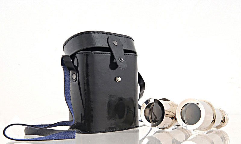NAUTICAL BRASS BINOCULARS W/LEATHER CASE: NAUTICAL BRASS BINOCULARS W/LEATHER CASE **|**|** Beautiful aluminum binoculars that provide a glimpse into the past. The binoculars come with a leather case to keep them safe from dust and scratches.