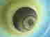 item-38546677=3
