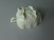 Chinese Blanc De Dehua Libation Cup, Qing Dyn. - 7
