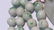 ANTIQUE CHINESE NATURAL JADE NECKLACE - 3