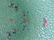 Antique Chinese Porcelain dish - 4