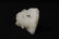 White Jade carved horse and monkey, 1.85"x2.3"x0.8" - 2
