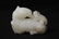 White Jade carved horse and monkey, 1.85"x2.3"x0.8" - 3