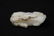 White Jade carved horse and monkey, 1.85"x2.3"x0.8" - 7