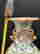 item-121714291=2