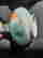 item-128431331=5