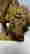 item-128431437=3