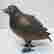 item-128431494=11