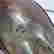 item-128431494=3
