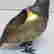 item-128431494=6