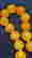 item-128431496=5