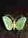 item-128431530=2