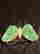 item-128431530=3